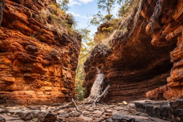 Alligator Gorge