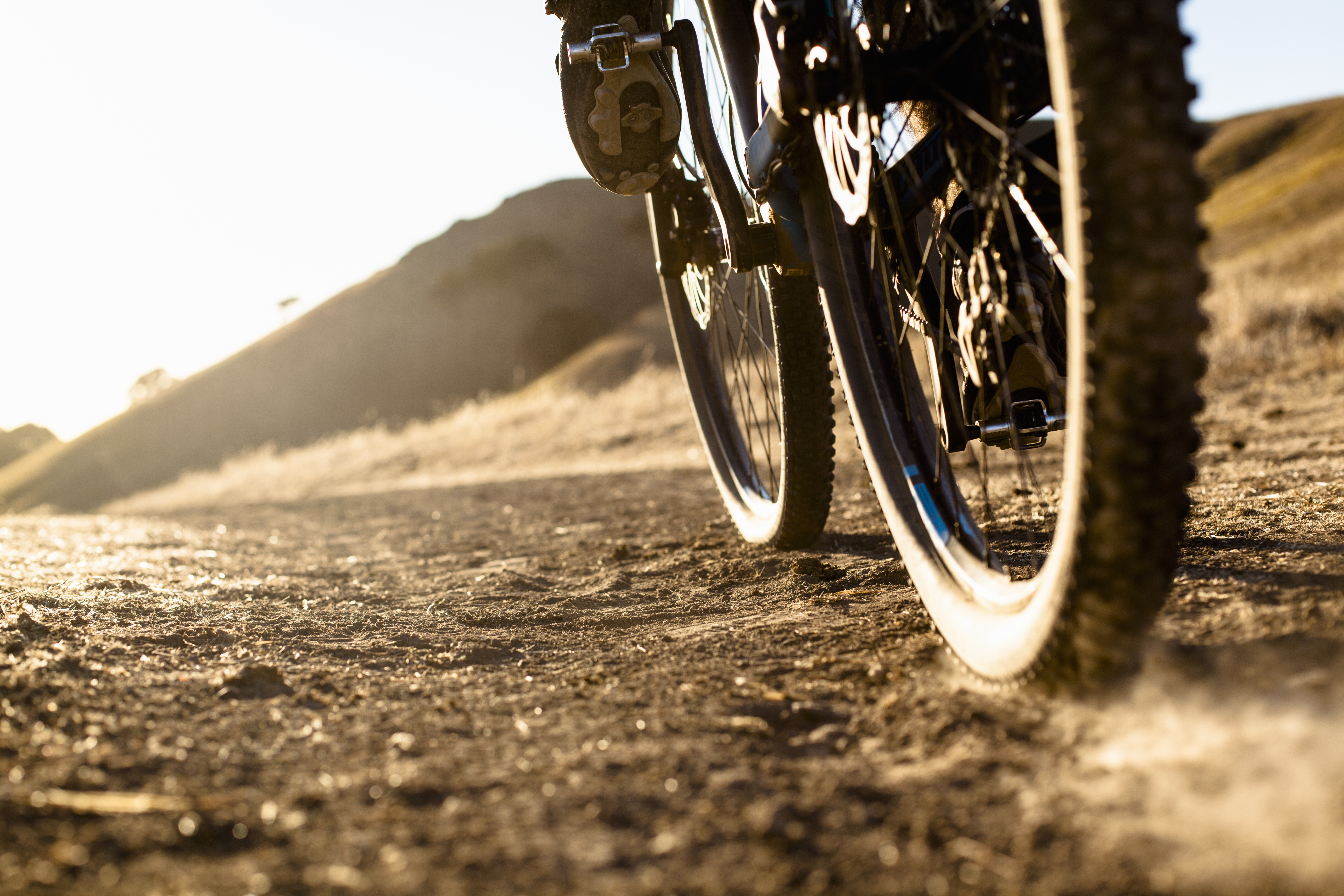 Mountain Bike Trails